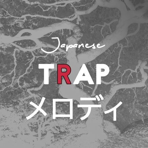 Whitenoise Records Japanese Trap Melodies لوپ ملودی ترپ