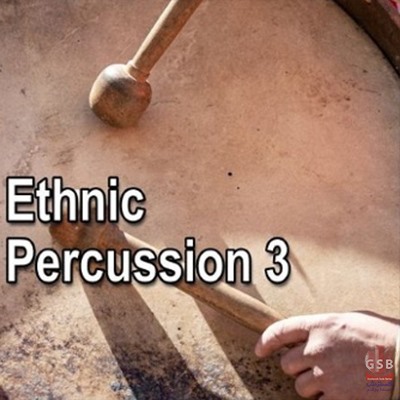 مجموعه لوپ پرکاشن AudioFriend Ethnic Percussion 3