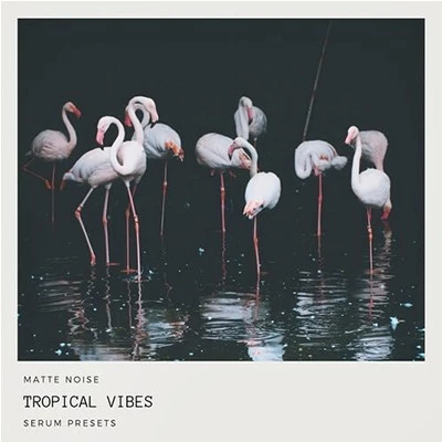 مجموعه پریست GOGOi Tropical Vibes SERUM PRESETS