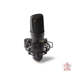 میکروفن یو اس بی مرنتز Marantz Mpm 2000u